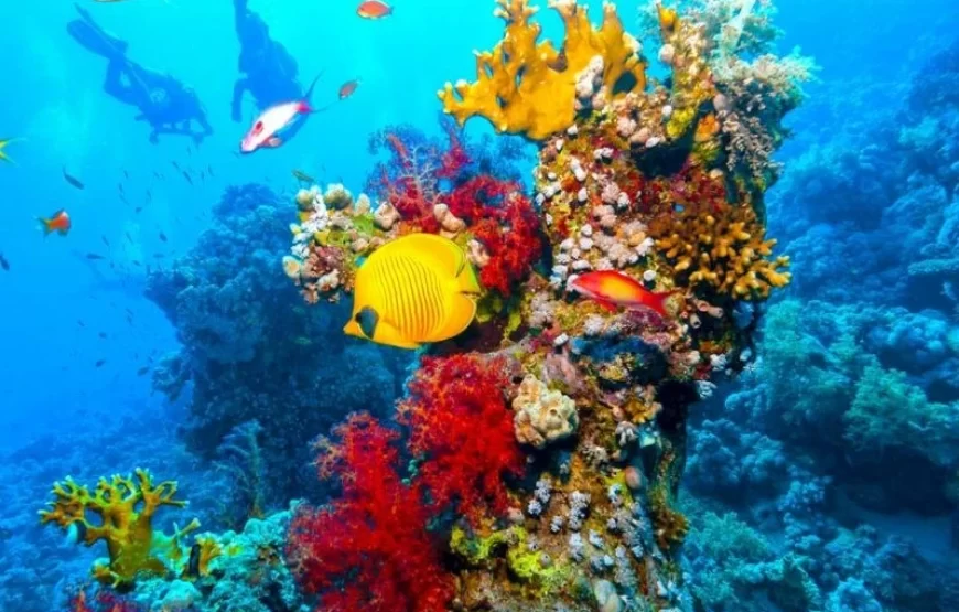 Egypt 365: Luxor – Hurghada – Cairo